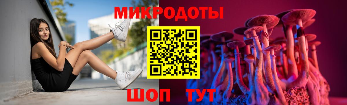 Галлюциногенные грибы Cubensis Лыткарино
